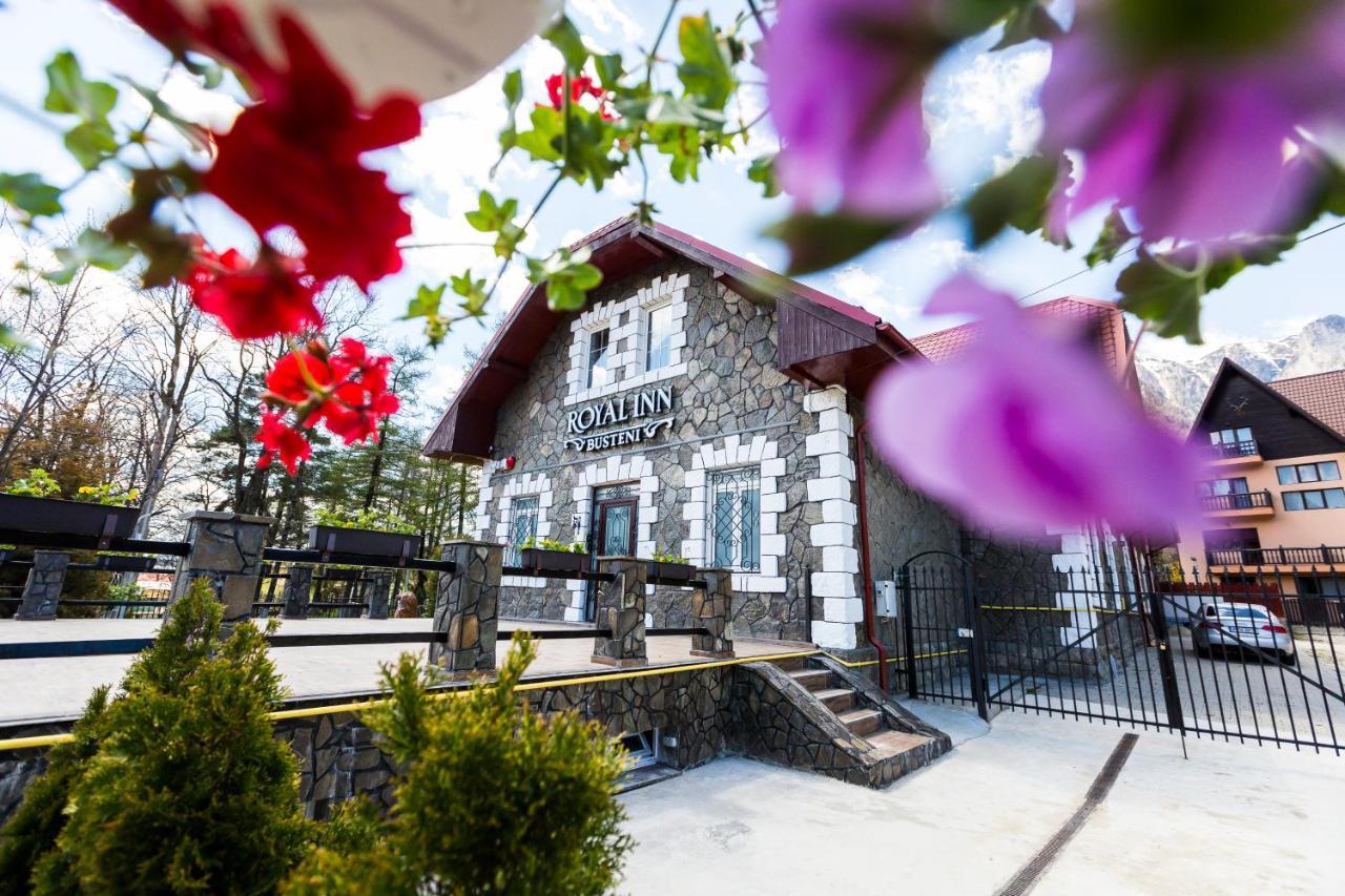 Royal Inn Busteni-Adults Only ภายนอก รูปภาพ