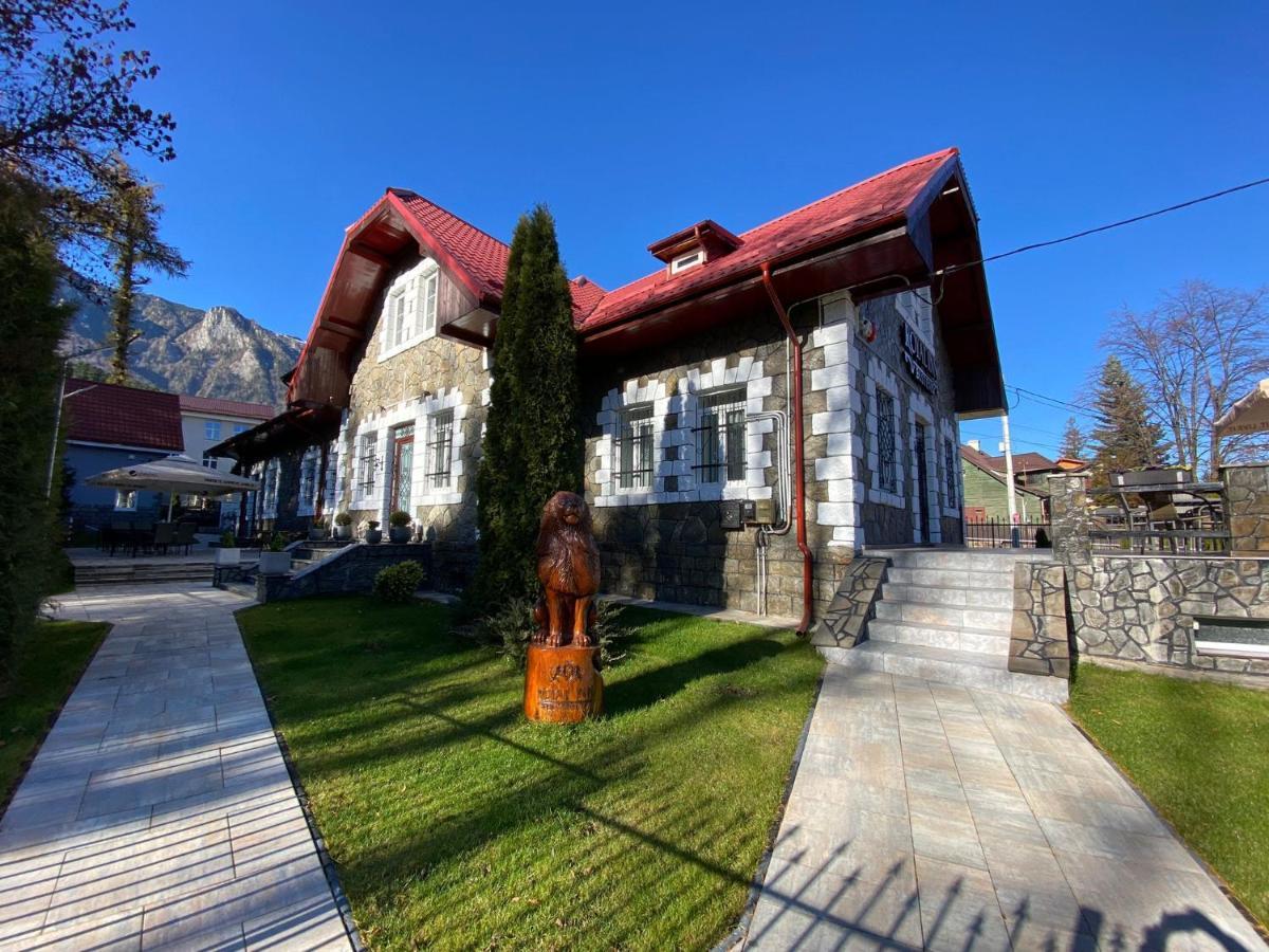 Royal Inn Busteni-Adults Only ภายนอก รูปภาพ