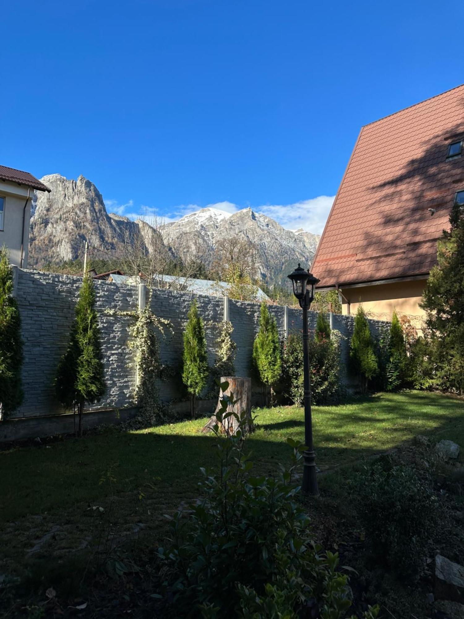 Royal Inn Busteni-Adults Only ภายนอก รูปภาพ